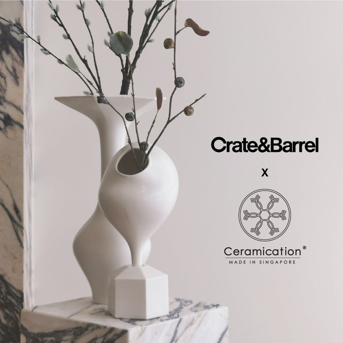 Crate and Barrel x Ceramication